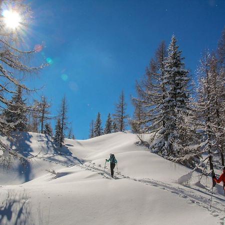 Naturparkresort Geoapartment Gams bei Hieflau Экстерьер фото