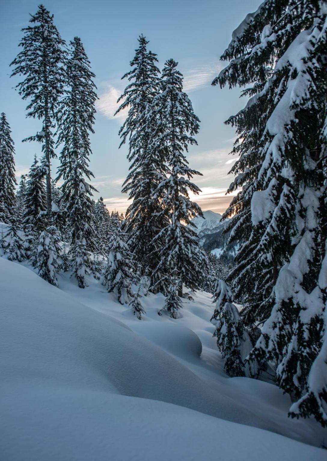 Naturparkresort Geoapartment Gams bei Hieflau Экстерьер фото