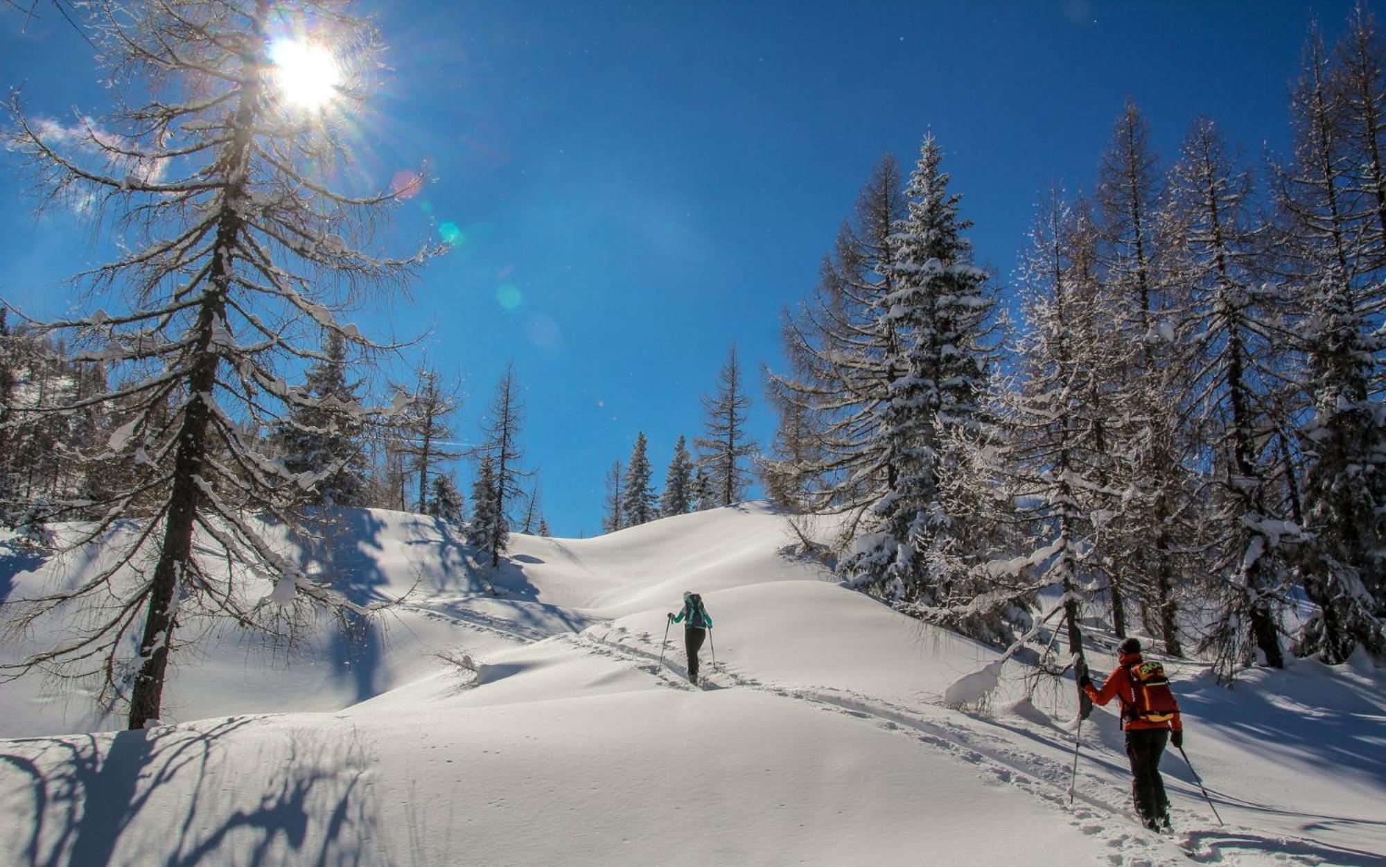 Naturparkresort Geoapartment Gams bei Hieflau Экстерьер фото